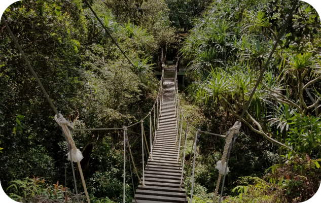 60% de vegetación conservada en cada lote